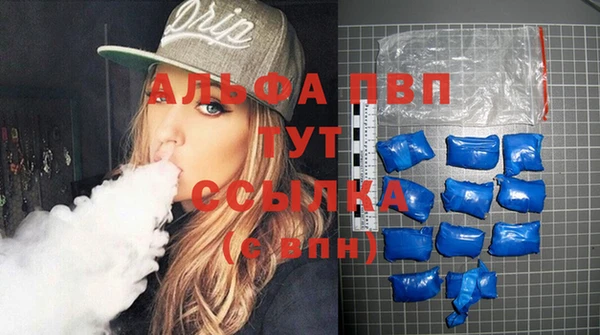 дмт Магас