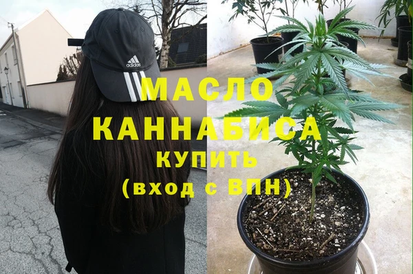 дмт Магас